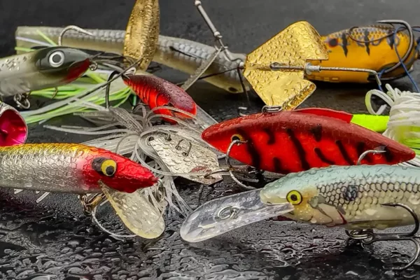 Different Types of Fishing Bait