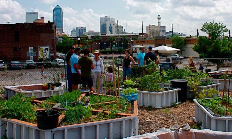 Urban Gardening and Community Gardens