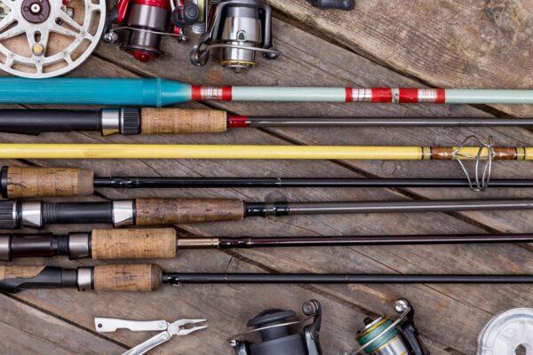 choose fishing rod